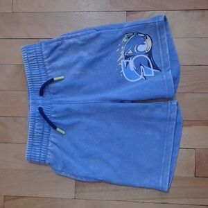 Sonic the Hedgehog boys shorts, small